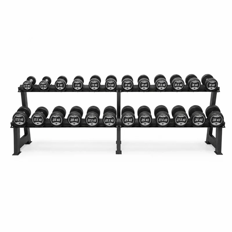 Set d'haltères ronds + support à haltères à 2 niveaux (2,5 - 30 kg)