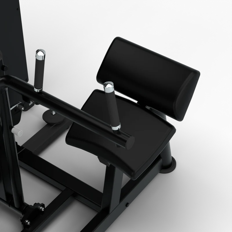 Crunch Abdominal et Extension Lombaire | Machine sélectorisée double - Compact Series
