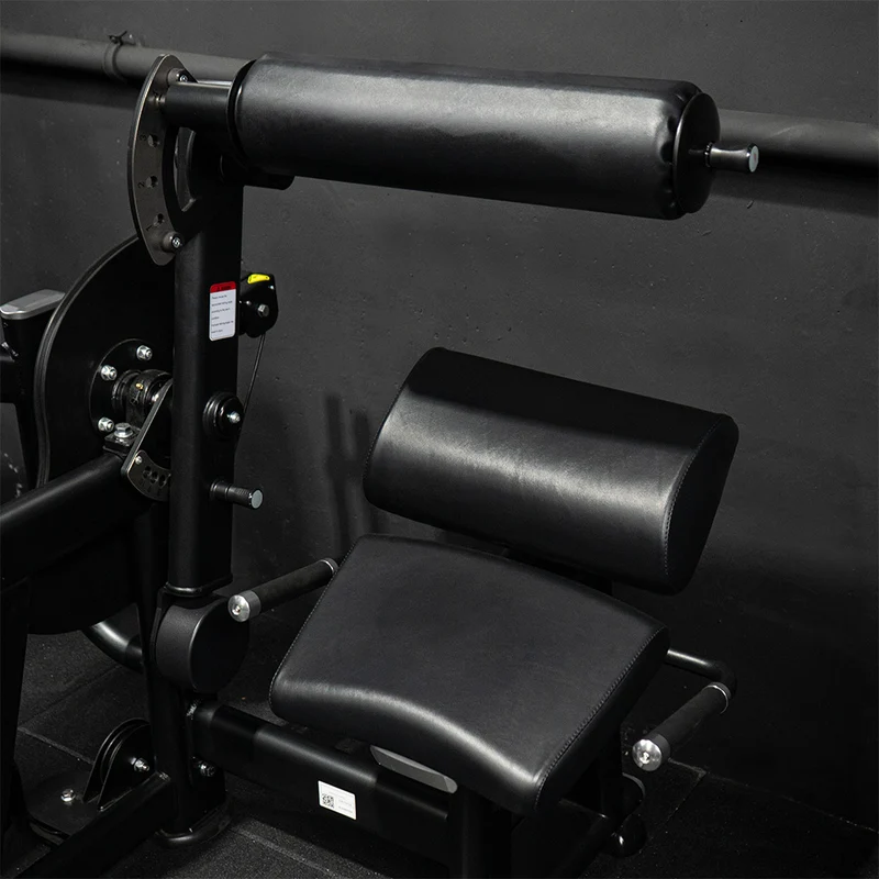 Crunch Abdominal et Extension Lombaire | Machine sélectorisée double - Pro Series