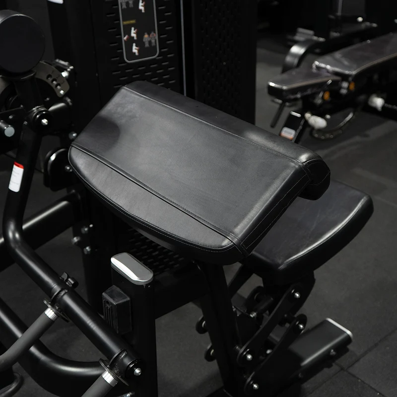Curl Biceps et Extension Triceps | Machine sélectorisée double - Pro Series