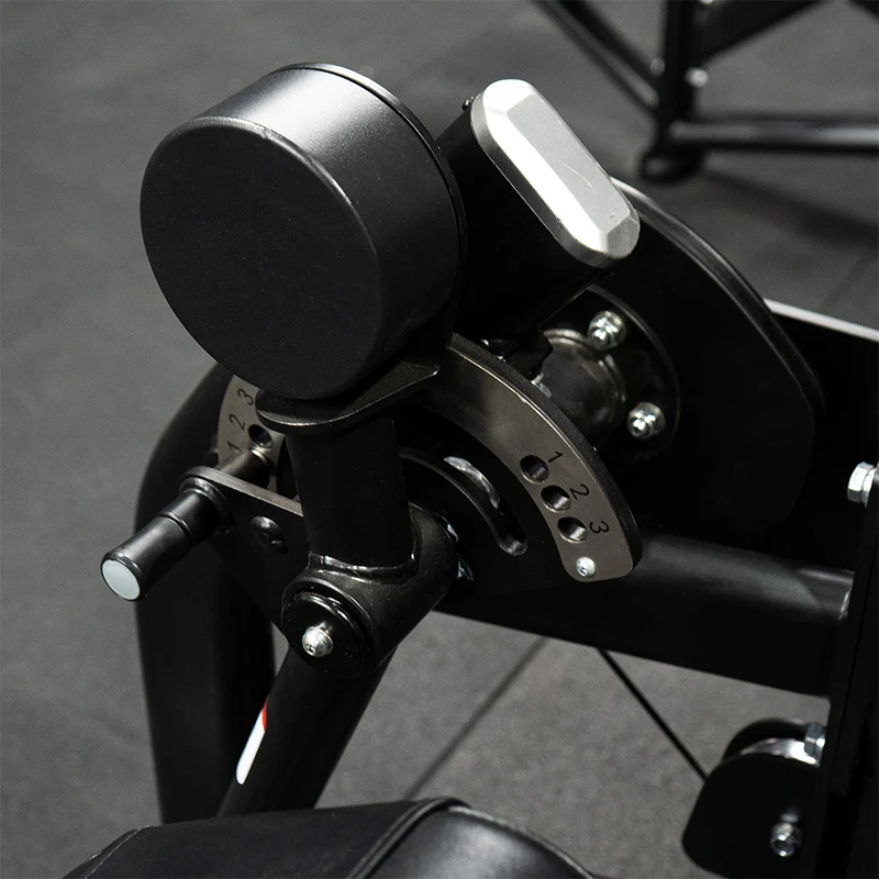 Curl Biceps et Extension Triceps | Machine sélectorisée double - Pro Series
