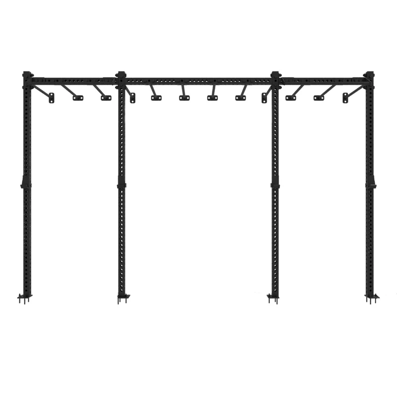 Rig fonctionnel mural avec Monkey Bars