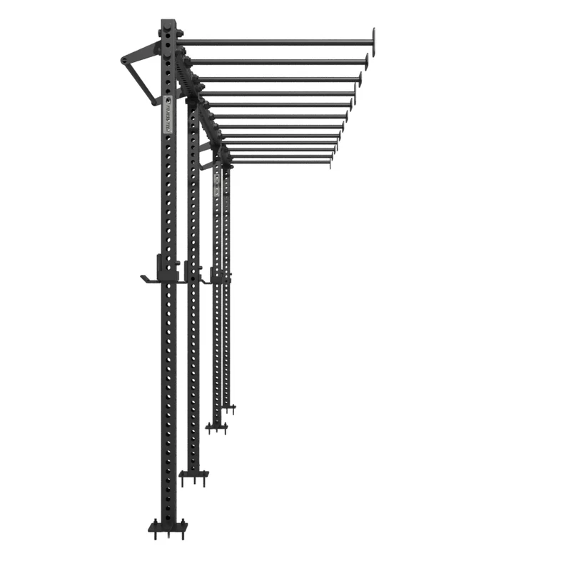 Rig fonctionnel mural avec Monkey Bars