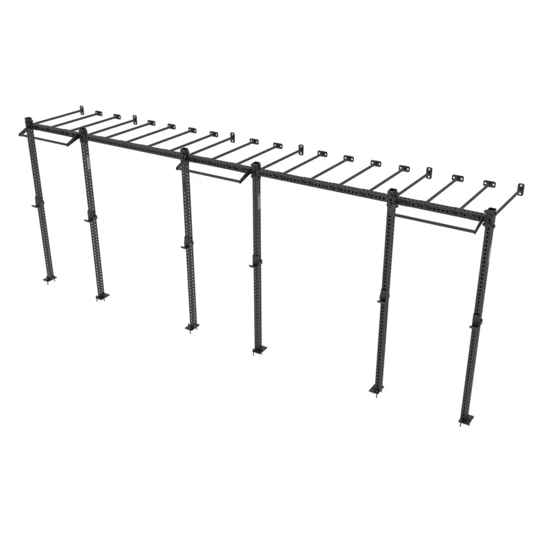 Rig fonctionnel mural avec Monkey Bars
