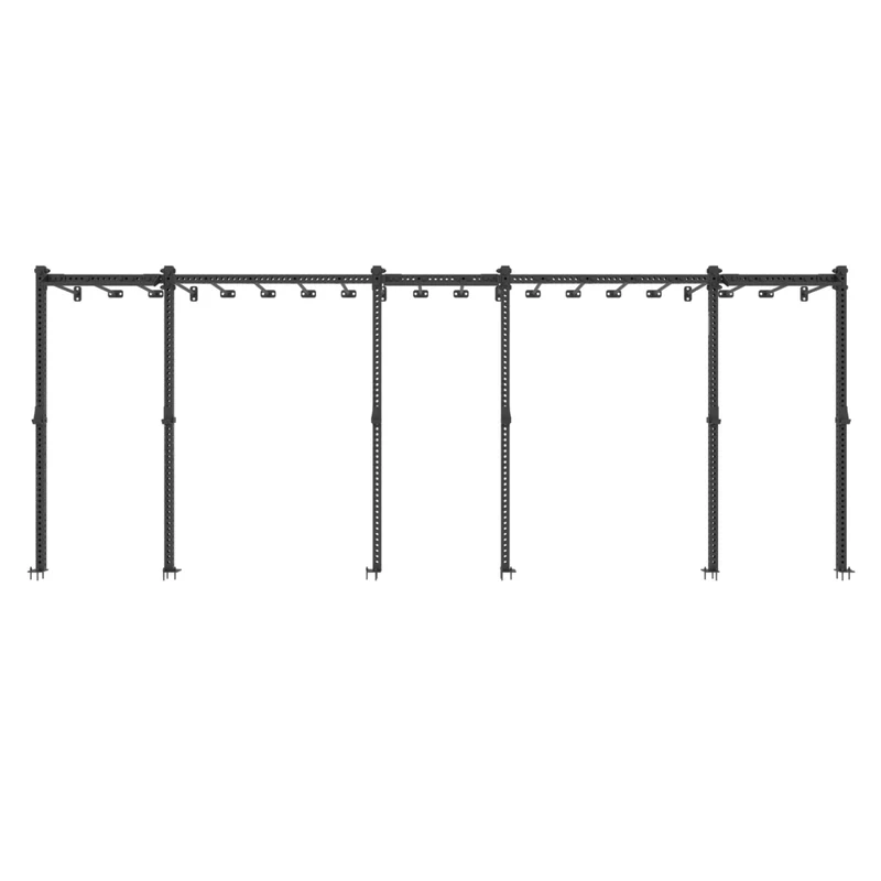 Rig fonctionnel mural avec Monkey Bars