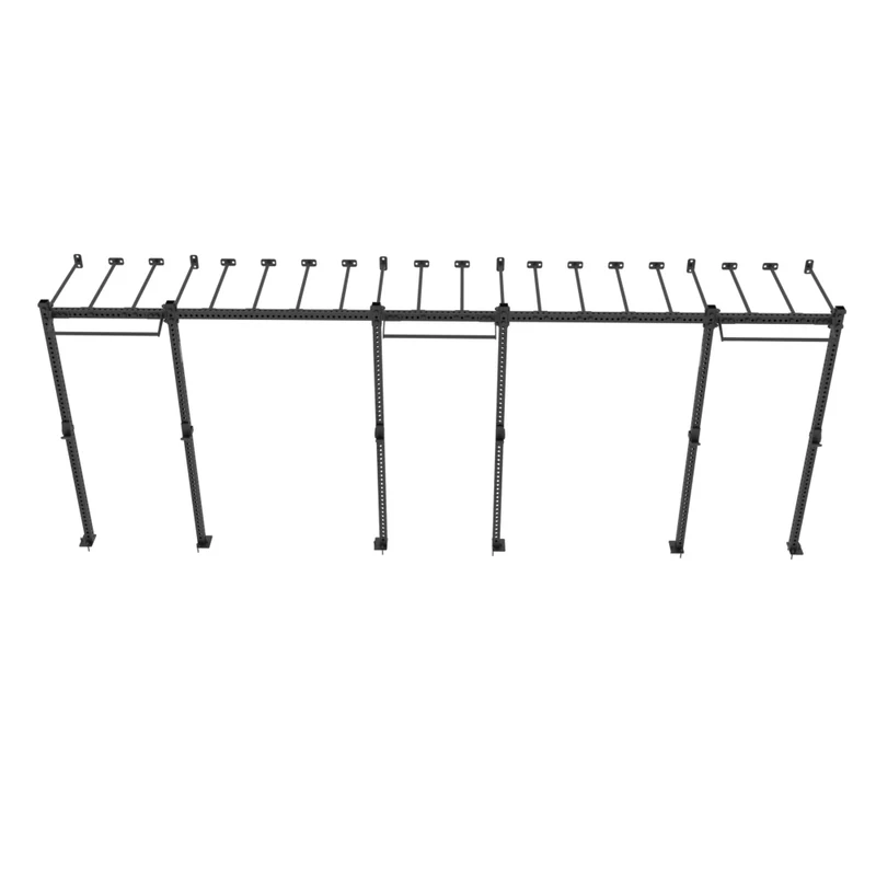 Rig fonctionnel mural avec Monkey Bars