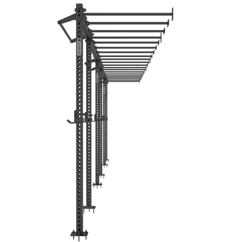 Rig fonctionnel mural avec Monkey Bars