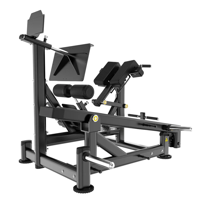 Hyperextension Lombaire | Machine à Levier Double - Pro Tech Series