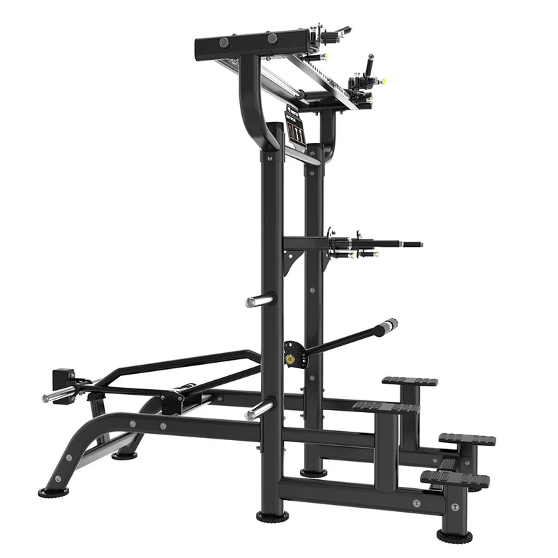 Dips et Tractions Assistées | Machine à Levier - Pro Tech Series