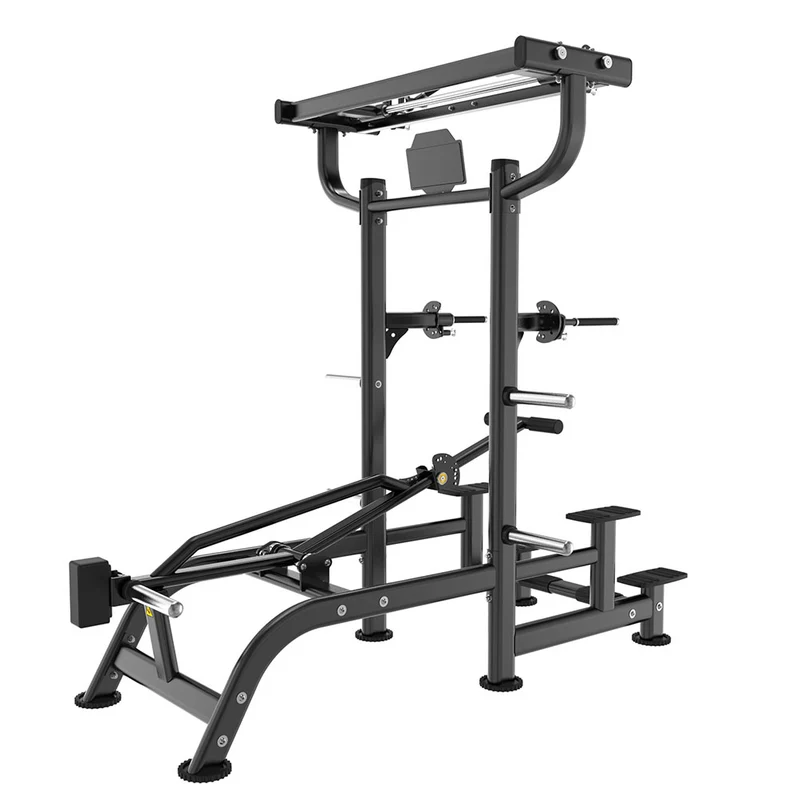 Dips et Tractions Assistées | Machine à Levier - Pro Tech Series