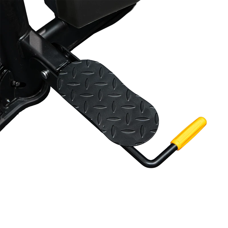 Poulie Double Ajustable Professionnelle F26 (2x120 kg)