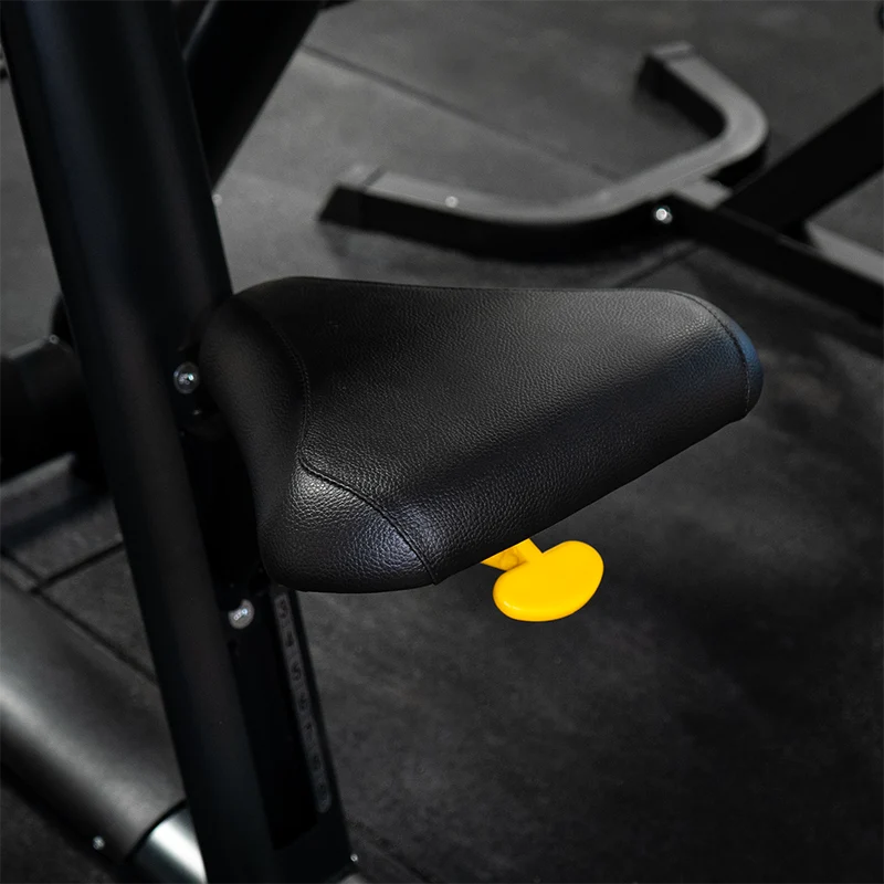 Banc Scott - Prédicateur Biceps