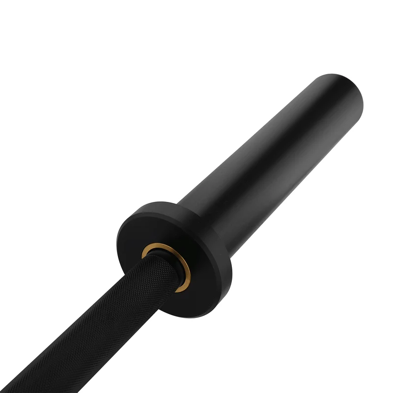 Barre technique noire 1,8 m x 50 mm - 2 roulements (45 kg)