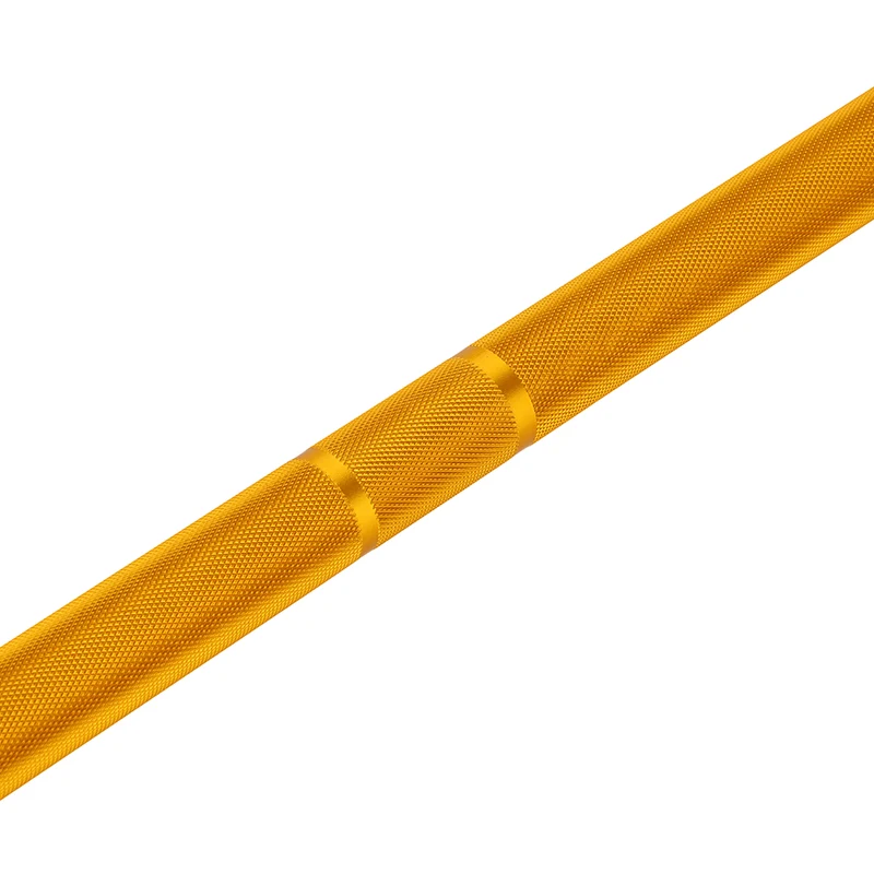 Barre technique Gold 1,8 m x 50 mm - 2 roulements (45 kg)