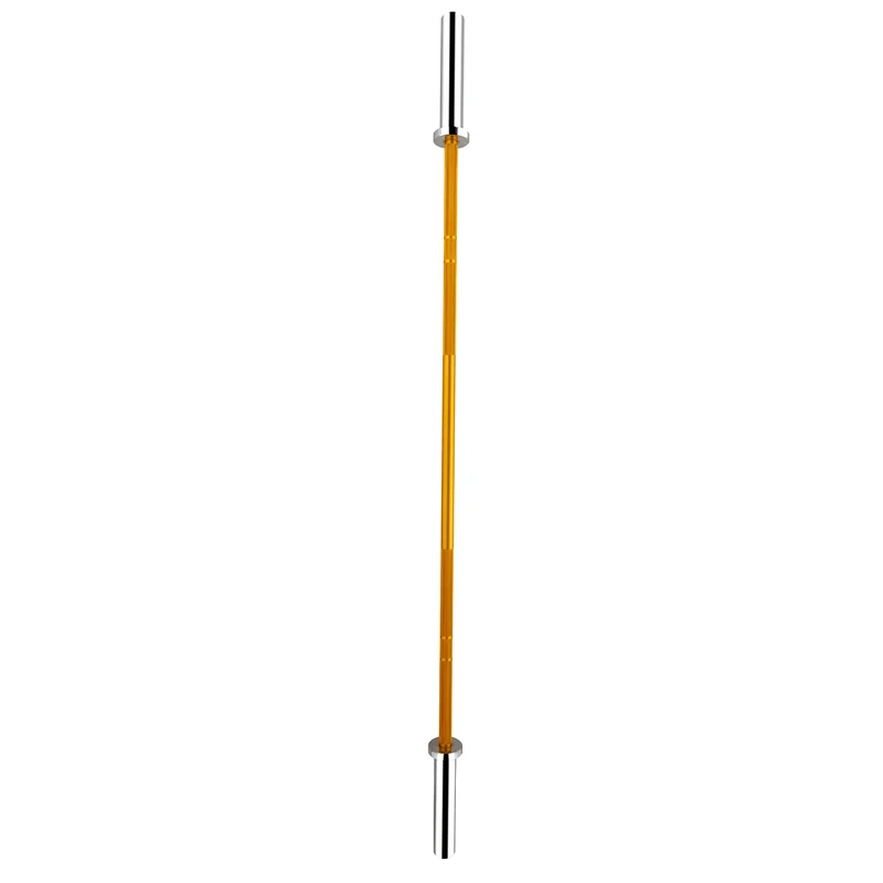 Barre technique Gold 1,8 m x 50 mm - 2 roulements (45 kg)