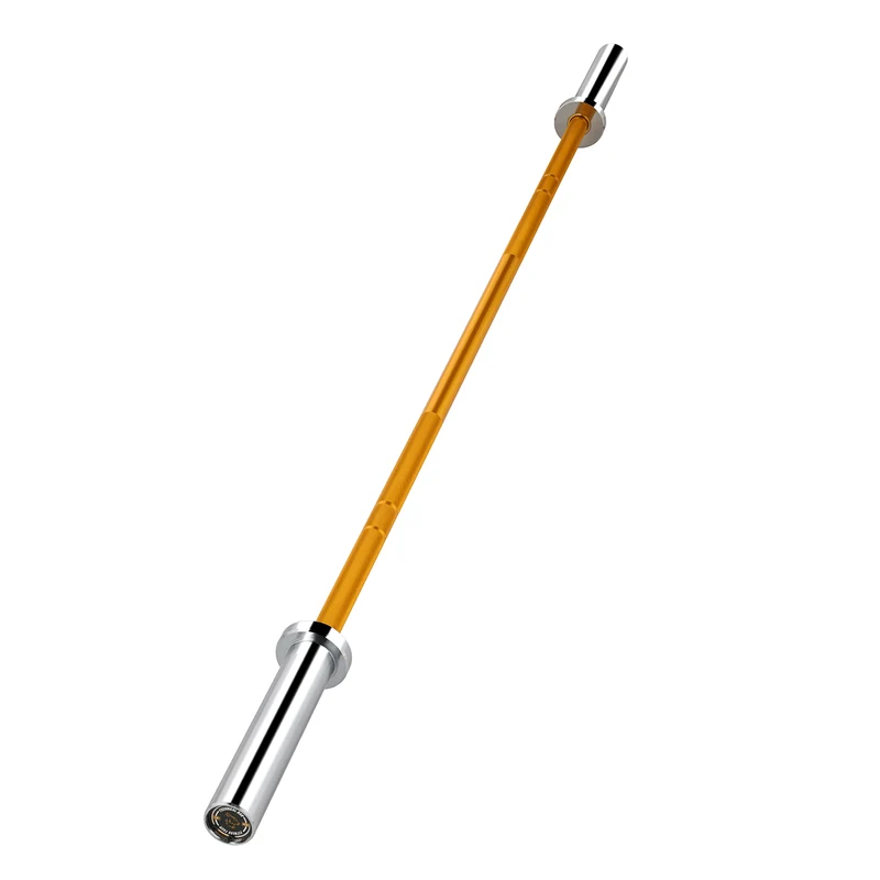 Barre technique Gold 1,8 m x 50 mm - 2 roulements (45 kg)