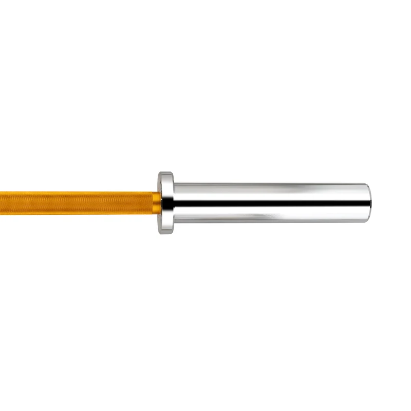 Barre technique Gold 1,8 m x 50 mm - 2 roulements (45 kg)