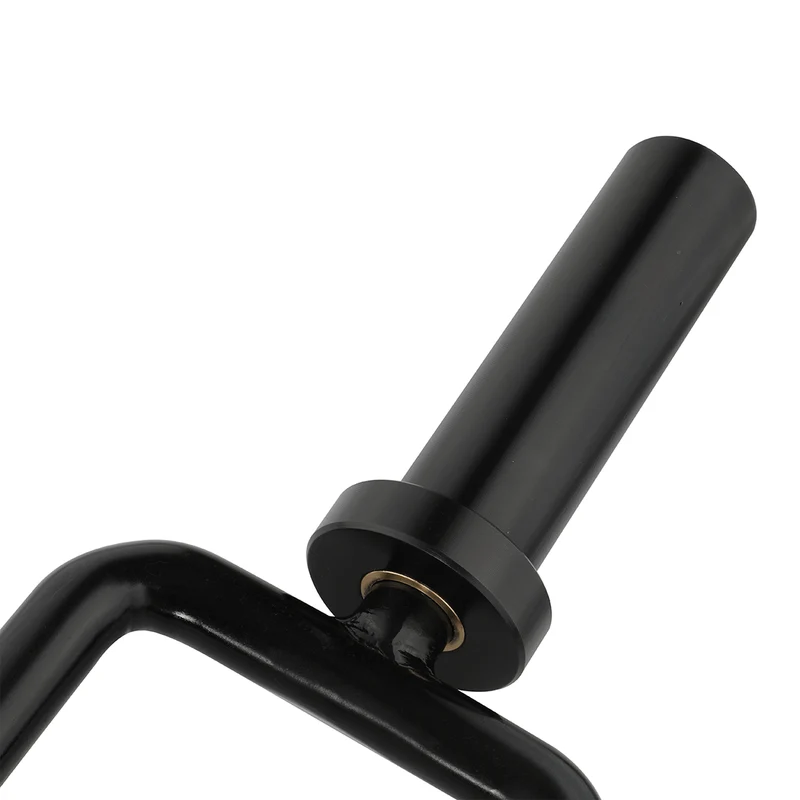 Barre romaine entièrement noire 0.87m x 50mm (230 kg)