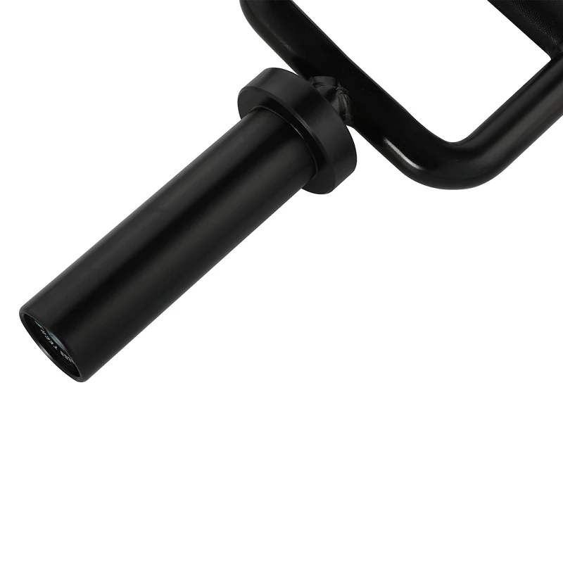 Barre romaine entièrement noire 0.87m x 50mm (230 kg)