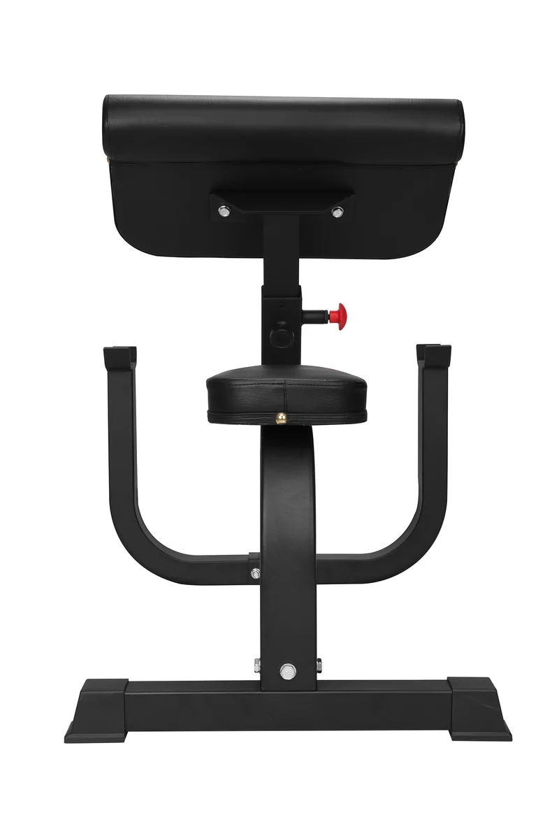 Banco pour biceps prédicateur