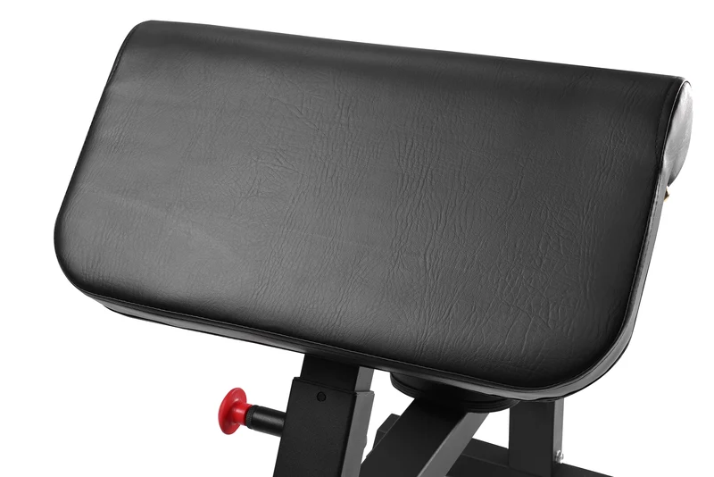 Banco pour biceps prédicateur