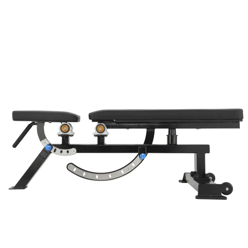 Banc de Musculation Professionnel Ajustable