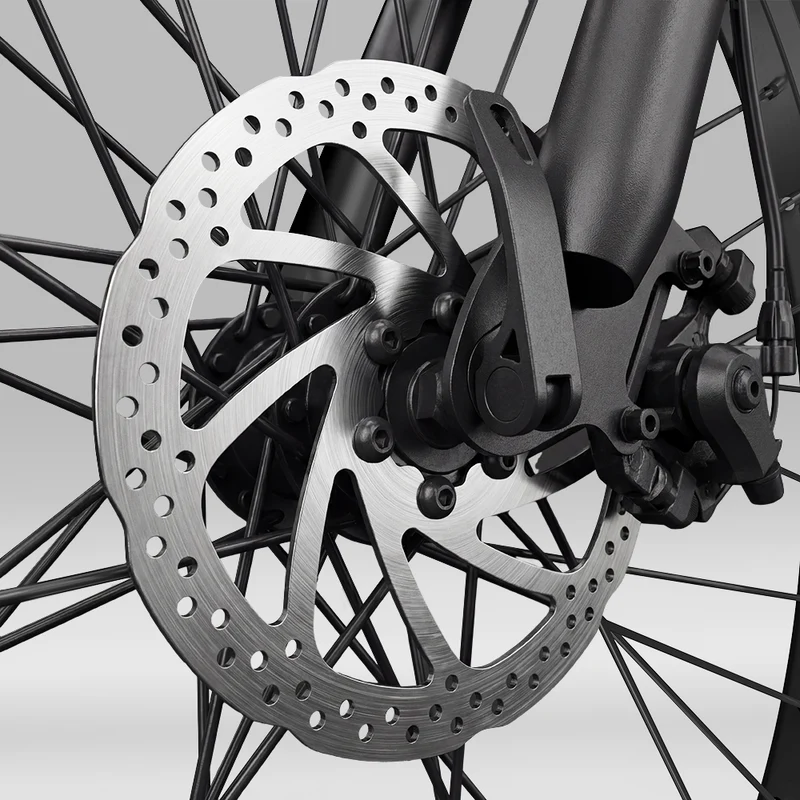 Vélo Électrique de Montagne M10 / EB3