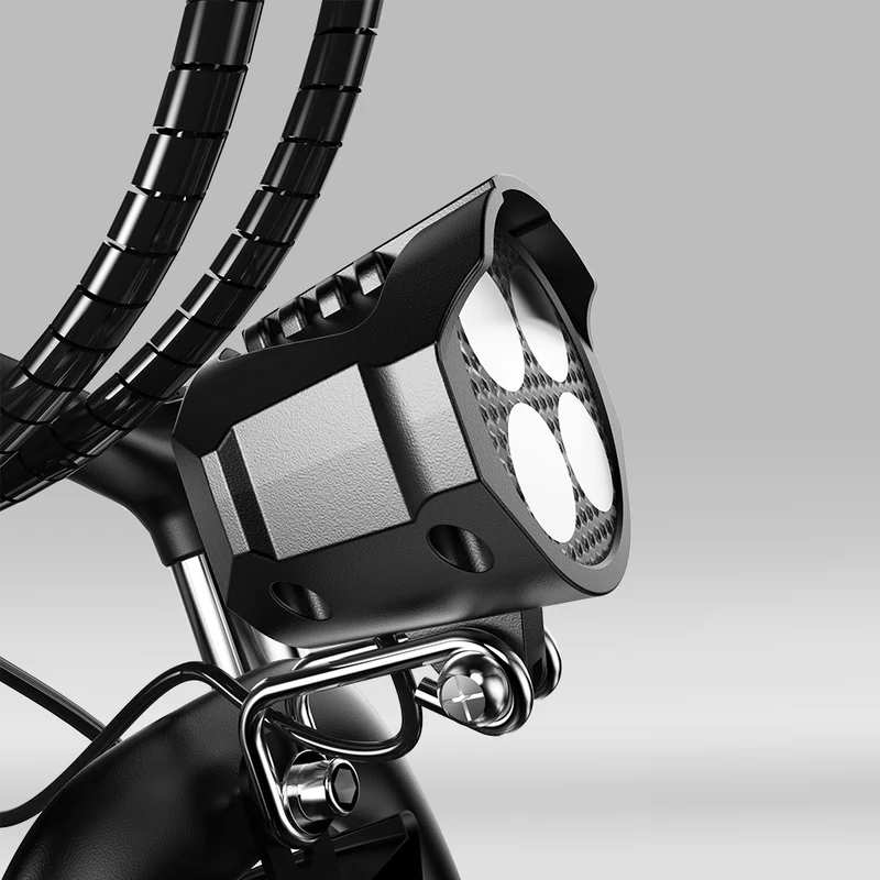 Vélo Électrique de Montagne M10 / EB3