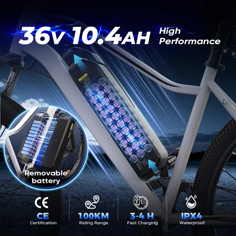Vélo Électrique de Montagne M10 / EB3