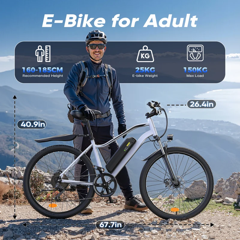 Vélo Électrique de Montagne M10 / EB3