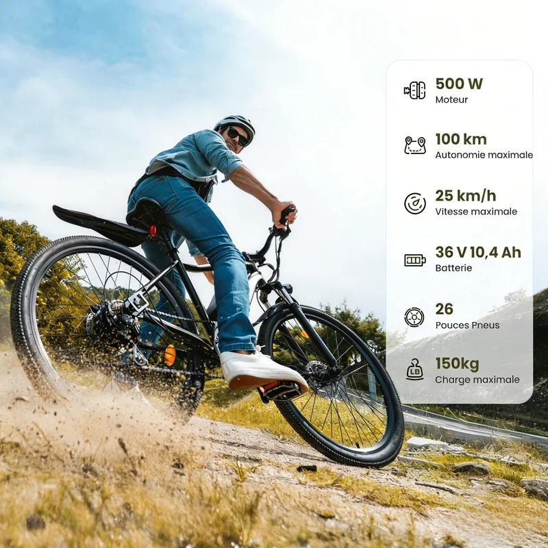 Vélo Électrique de Montagne M10 / EB3