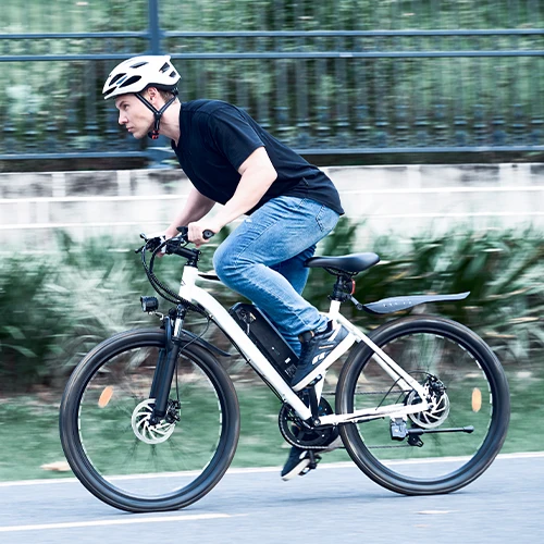 Vélo Électrique de Montagne M10 / EB3