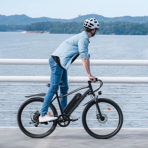 Vélo Électrique de Montagne M10 / EB3