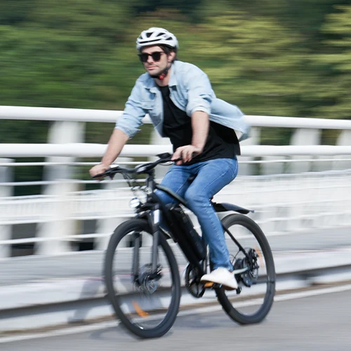 Vélo Électrique de Montagne M10 / EB3