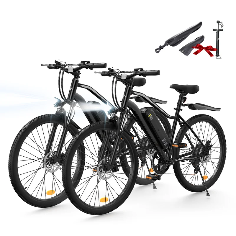 Vélo Électrique de Montagne M10 / EB3