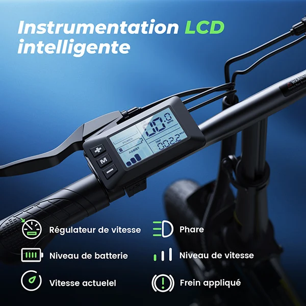 iScooter Vélo électrique pliable U1/EB1 250W