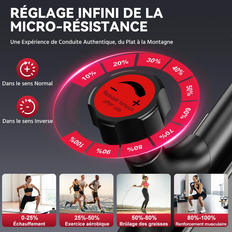 Vélo D'exercice Stationnaire C1, Volant 6 kg