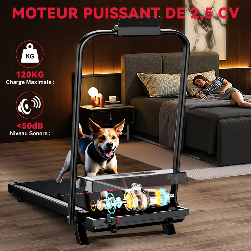 Tapis de Course Pliant C1, Vitesse 1-10KM/H, 5% Inclinaison Manuelle