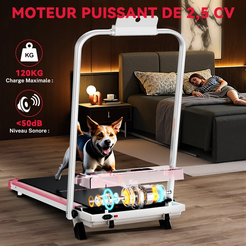 Tapis de Course Pliant C1, Vitesse 1-10KM/H, 5% Inclinaison Manuelle