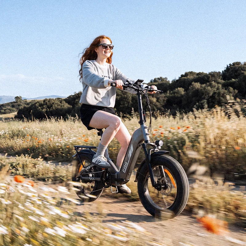 EB8 20" Fat Tire Folding Electric Bike with Torque Sensor
