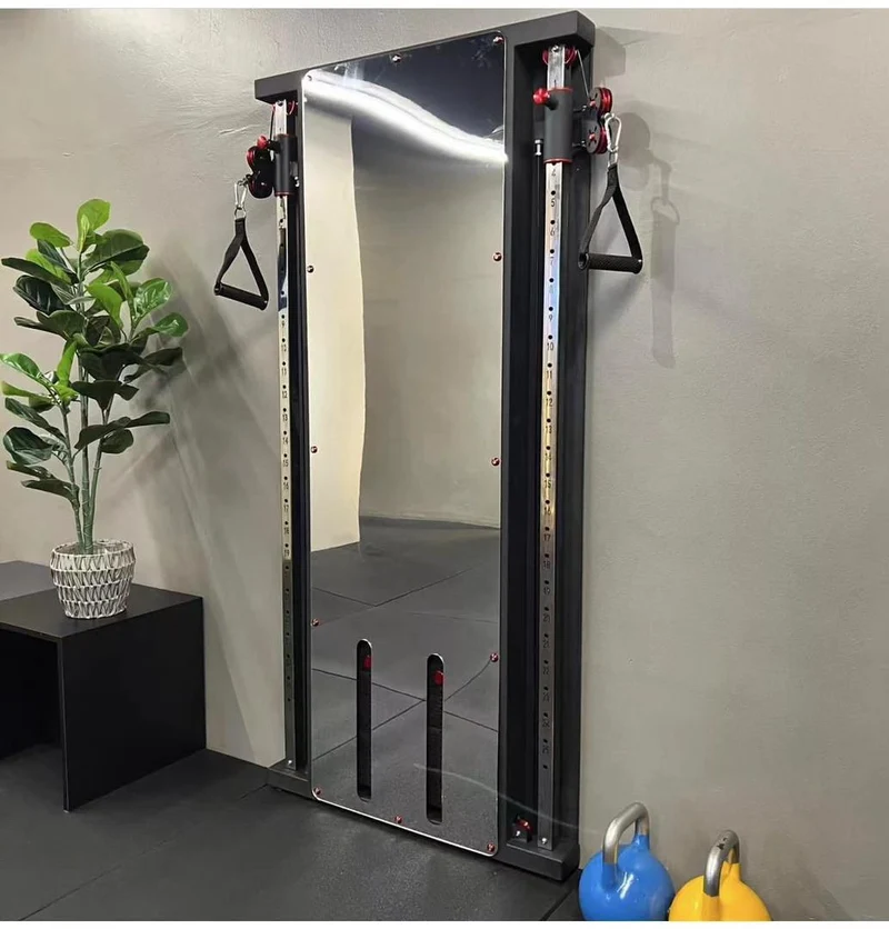 Wall Mount Functional Trainer