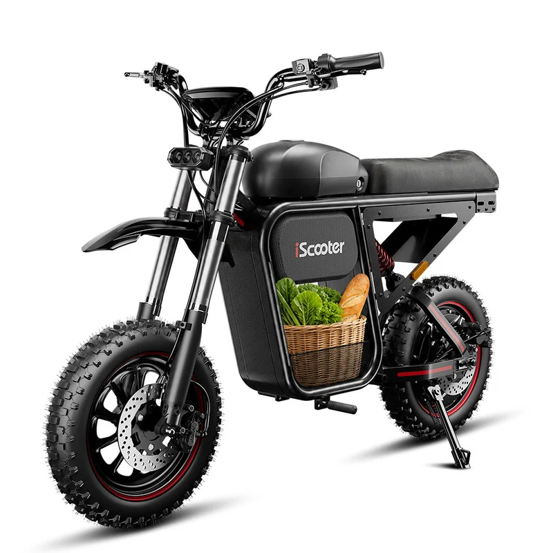 iScooter DX5Max Electric Dirt Bike for Adults