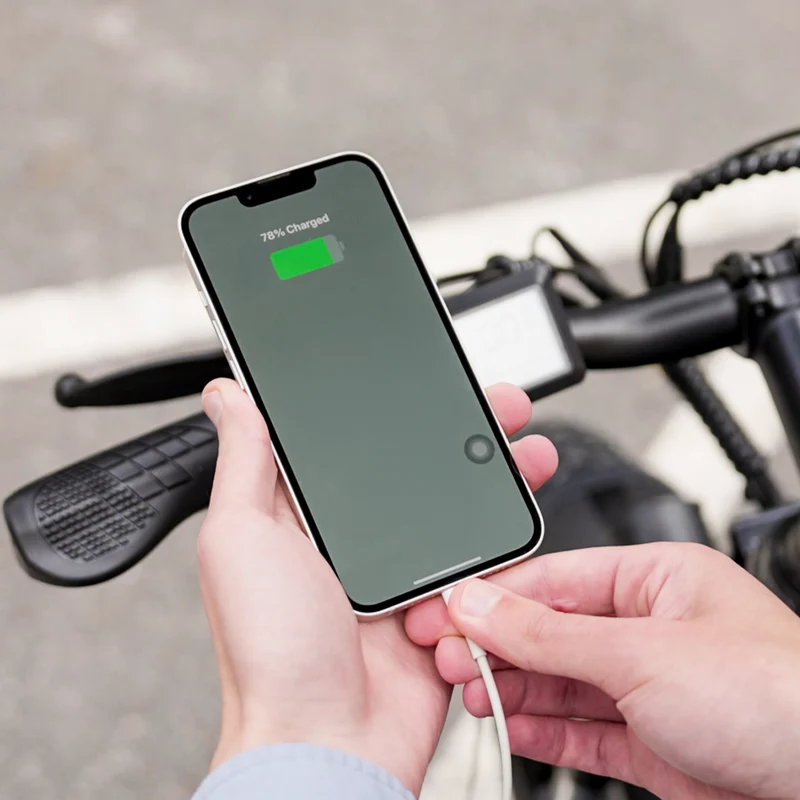 M60 Fat Tire Trekking E-Bike