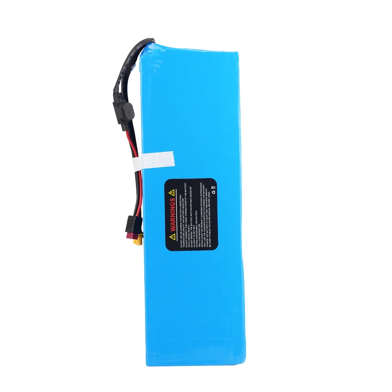 Battery Replacement for Electric Scooter iX6 1000W