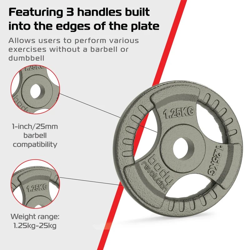 2 Disques de Musculation en Fonte de 2,5 kg (2 x 1,25 kg)