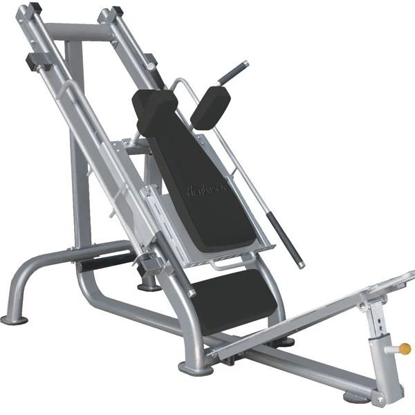 Leg Press Hack Squat