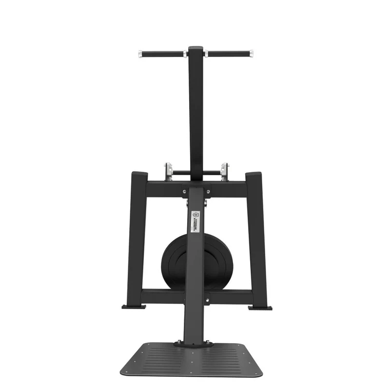 Extension Triceps Debout et Dips Elite Series