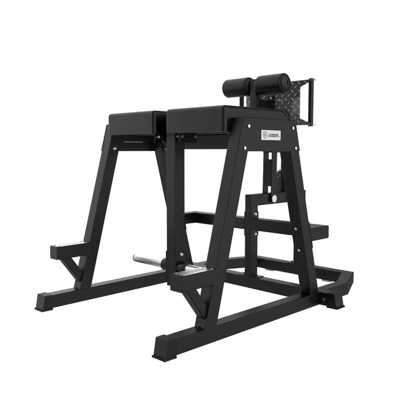 Machine 2 en 1 – GHD et Hyperextension Inversée Elite Series