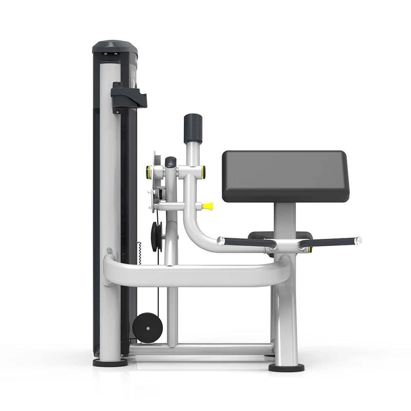 Poste Isolé Poste Biceps