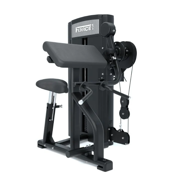 Curl de Biceps et Extension de Triceps Ridge Series